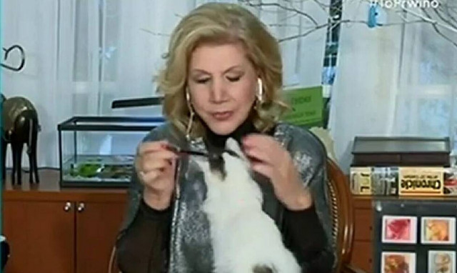 Χαμός στον «αέρα»: Γάτος επιτέθηκε στη Λίτσα Πατέρα!