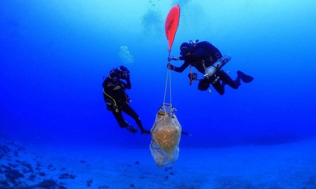 Αρχαιολογικός «θησαυρός» στο βυθό της Κάσου