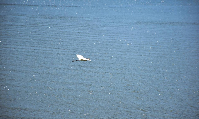 «Θησαυροί της Ελλάδας»
