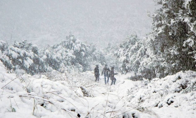 Κακοκαιρία «Λέανδρος»: Ανέβασε έως 30% τη χιονοκάλυψη της χώρας - Τι έδειξαν οι δορυφόροι 