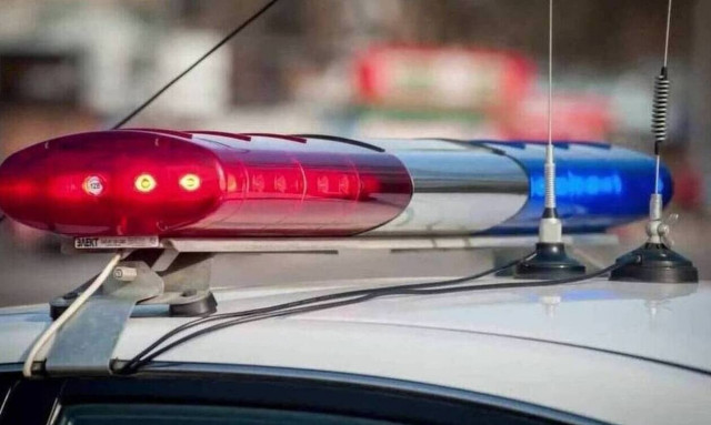 Σύγχρονη Μήδεια: Σκότωσε τα 4 παιδιά της με καραμπίνα, έκαψε τα πτώματα και αυτοκτόνησε