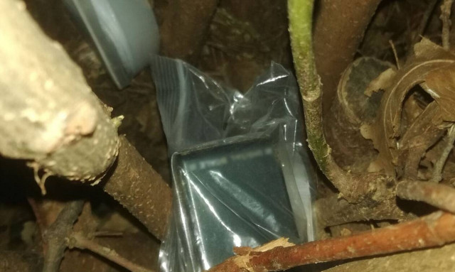 Βίντεο ντοκουμέντο: Είχαν μετατρέψει τις φοιτητικές εστίες σε ναρκο-κρυψώνες - Έφοδος της ΕΛ.ΑΣ.