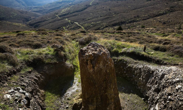 Το Απολιθωμένο δάσος της Μυτιλήνης (photos)