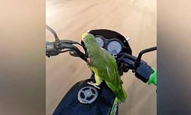 Τέτοιο βίντεο δεν έχετε ξαναδεί!