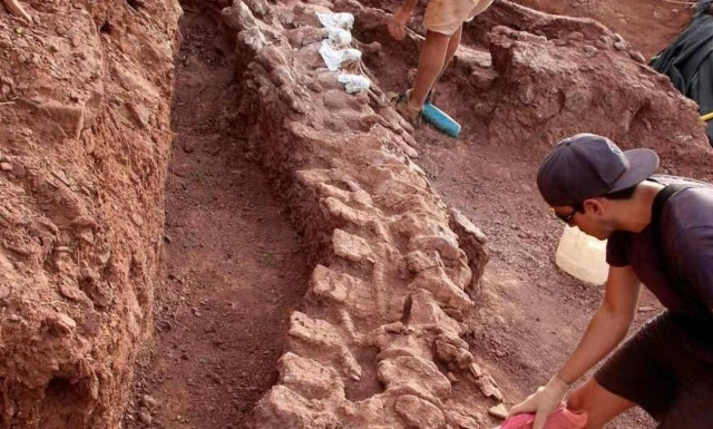 Απίστευτη ανακάλυψη: Βρέθηκε το μεγαλύτερο πλάσμα που περπάτησε ποτέ στη Γη; 