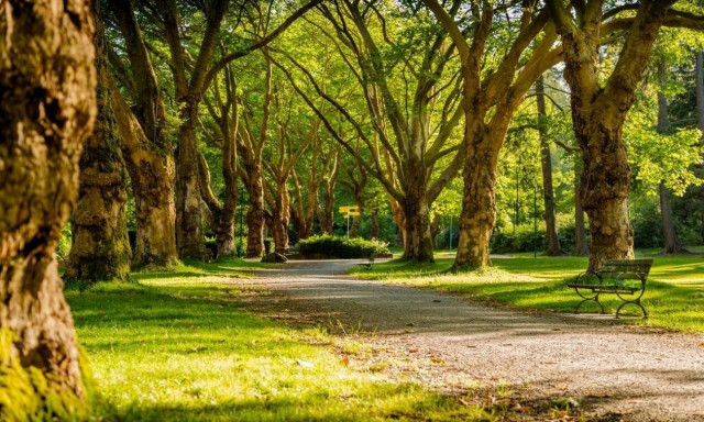 Φρίκη: Βίασαν δύο 15χρονα κορίτσια σε πάρκο
