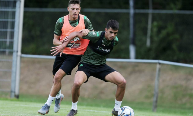 Παναθηναϊκός: Μήπως τόσο μπορούν; 