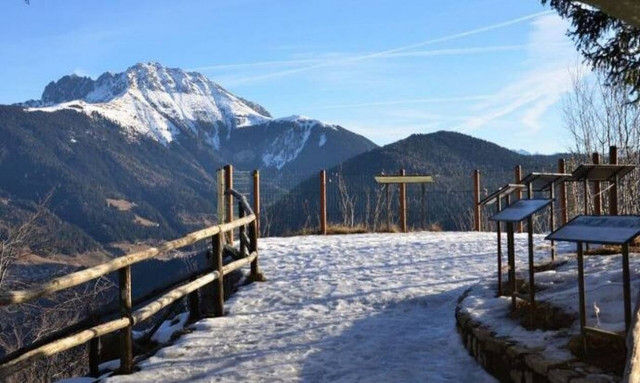 Τραγωδία: Νεκρό ζευγάρι - Η γυναίκα του έπεσε σε γκρεμό και προσπάθησε να τη σώσει