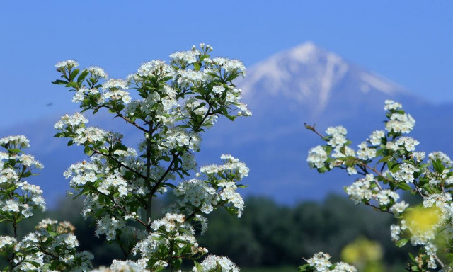 Καιρός: Θερμοκρασίες στα... ύψη το Σαββατοκύριακο - Πού θα δείξει 25άρια το θερμόμετρο