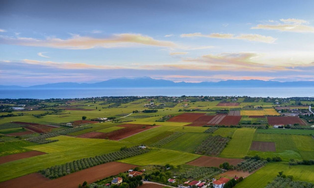 Καιρός: Αλκυονίδες μέρες - Παρασκευή με υγρασία, ομίχλες και υψηλές θερμοκρασίες (pics)