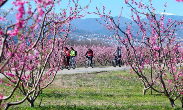 Καιρός: Σαββατοκύριακο με ανοιξιάτικες θερμοκρασίες 