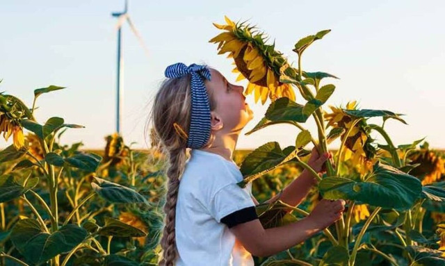 Η Nestlé μηδενίζει τις εκπομπές αερίων του θερμοκηπίου έως το 2050