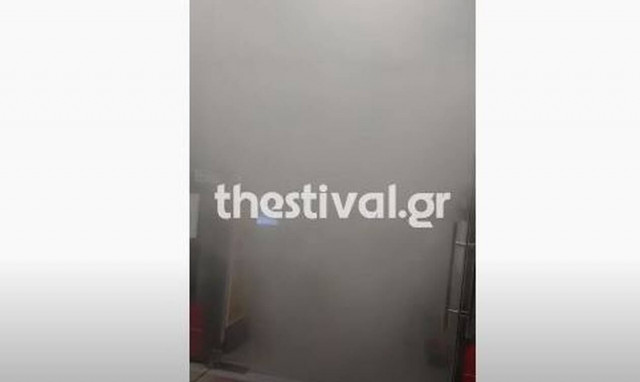 Θεσσαλονίκη: Μια... γάτα σήμανε συναγερμό σε Αστυνομία και Πυροσβεστική (vid)