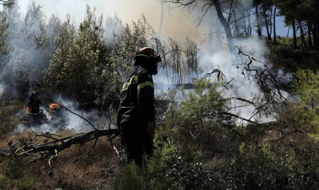 Φωτιά σε δασική έκταση στην Κρήτη