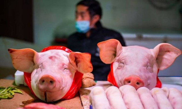 Κορονοϊός: Από εισαγόμενες γουρουνοκεφαλές ξεκίνησε ο ιός; Τι ανακάλυψε ο Π.Ο.Υ. στην Κίνα