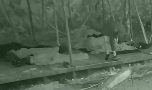 Survivor: Σκάνδαλο! Όλη η αλήθεια για την εξαφάνιση του Αλέξη Παππά και του Κρις Σταμούλη (vid)