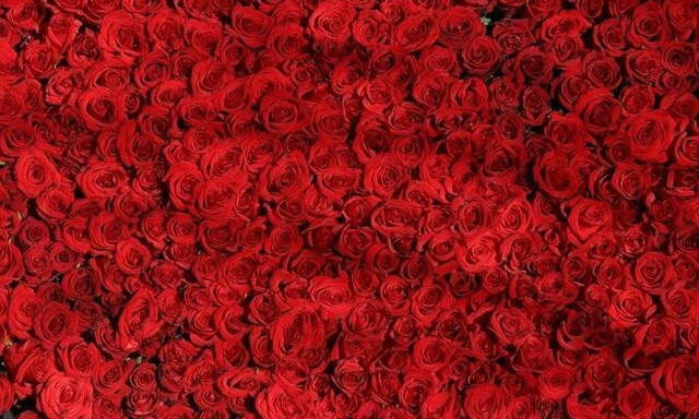 Αγίου Βαλεντίνου: Πώς θα λειτουργήσουν τα ανθοπωλεία την Κυριακή (14/02)