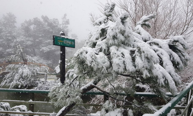 Κακοκαιρία Μήδεια: Ξεκίνησε η χιονόπτωση στην Αττική - Επί ποδός ο κρατικός μηχανισμός