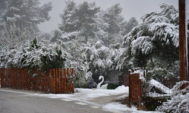 Σαρώνει η κακοκαιρία «Μήδεια»: Ντύθηκε στα λευκά η χώρα - Πότε θα χιονίσει στην Αττική