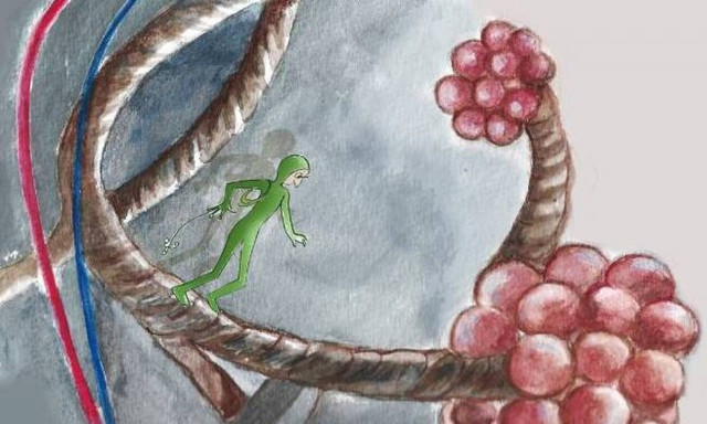 Ηράκλειο: Ένα εικονογραφημένο βιβλίο για το ταξίδι των ιών