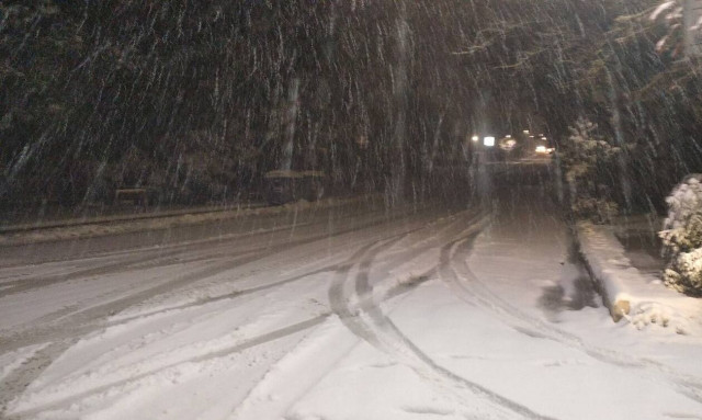 Κακοκαιρία «Μήδεια» στη Φθιώτιδα: Προβλήματα από το χιονιά - Διακοπές ρεύματος σε αρκετές περιοχές