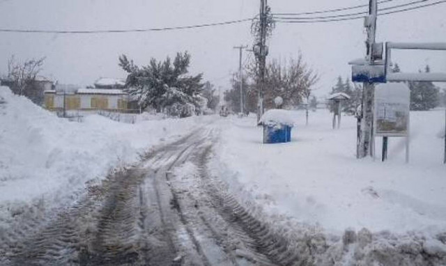 Περιφερειάρχης Στερεάς Ελλάδας στο Newsbomb.gr για την τραγωδία με τον 80χρονο στην Εύβοια 