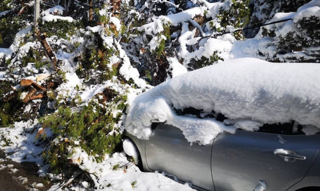 Διακοπές ρεύματος: Η ανακοίνωση του ΔΕΔΔΗΕ - Πού υπάρχουν προβλήματα