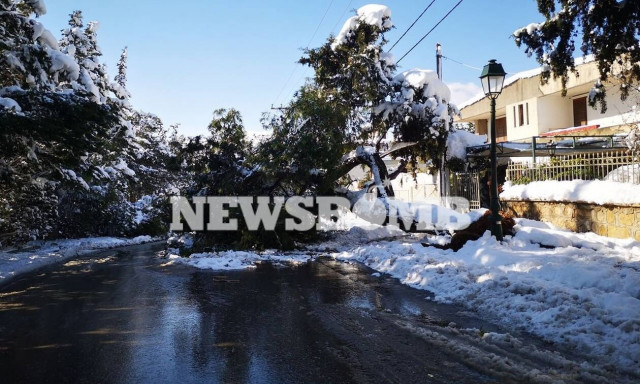 Οδοιπορικό Newsbomb.gr: Χιλιάδες νοικοκυριά στην Αττική χωρίς ρεύμα – Αγώνας δρόμου για τις βλάβες