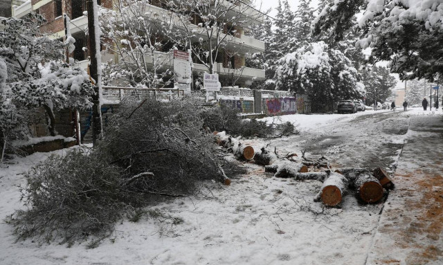 Κακοκαιρία: Κραυγή αγωνίας από τους κατοίκους των Βορείων Προαστίων - 48 ώρες χωρίς ρεύμα
