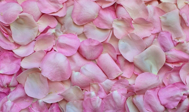 Αχαΐα: Απίστευτο περιστατικό - Πήγε για σύμφωνο συμβίωσης και βρέθηκε με…τρεις γάμους (vid)