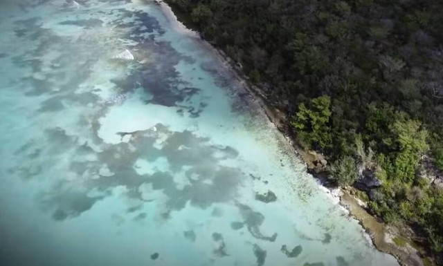 Survivor Spoiler: Σε ποια ομάδα μπαίνει ο πρώην της Μαριαλένας; (video)