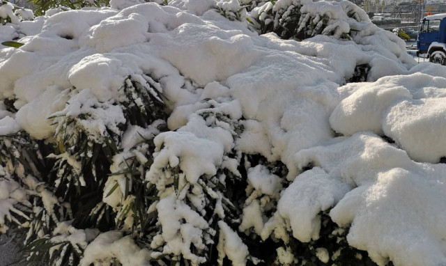 Τραγωδία στην Ελβετία: Νεκρός 7χρονος από κατάρρευση αυτοσχέδιου ιγκλού