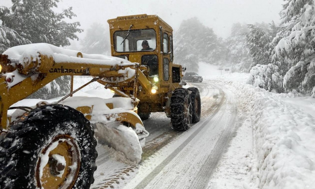 Κακοκαιρία «Μήδεια»: Την επόμενη εβδομάδα θα ξεκινήσει ο ΕΛΓΑ την καταγραφή των ζημιών