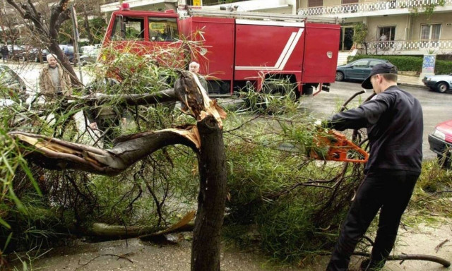 ΔΕΔΔΗΕ: Με άδεια από το Δασαρχείο πραγματοποιείται το κλάδεμα των δέντρων	