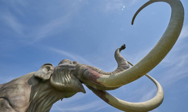 Σιβηρία: Aνακαλύφθηκε το αρχαιότερο DNA στον κόσμο σε απομεινάρια μαμούθ (video)