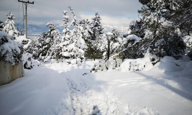 Κακοκαιρία «Μήδεια»: Οι εντυπωσιακές φωτογραφίες της επέλασης του χιονιά από το διάστημα