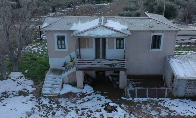 Άγριες Μέλισσες: Η «Μήδεια» έντυσε στα λευκά και το Διαφάνι (video)