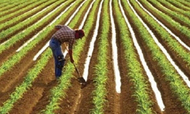 Ποιες αλλαγές έρχονται στις αγροτικές επιδοτήσεις από το 2022