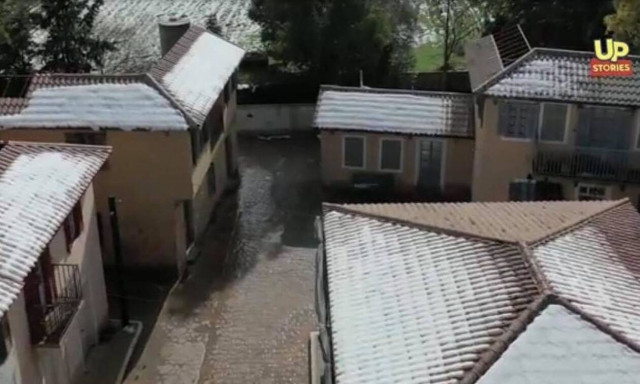 Άγριες Μέλισσες: Στα «λευκά» έντυσε η Μήδεια και το Διαφάνι