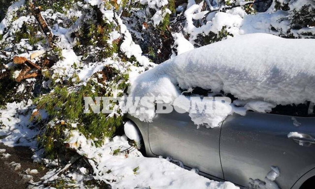 Κακοκαιρία «Μήδεια»: Πώς θα αποζημιωθούν οι πολίτες που έχουν υποστεί ζημιές 