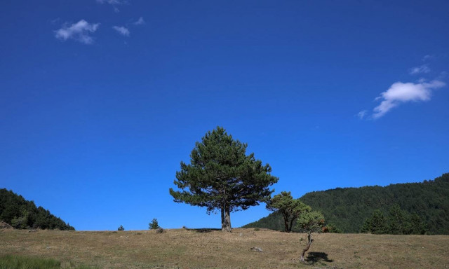 Καιρός τώρα: Με ήλιο και ενισχυμένους βοριάδες η Τετάρτη - Στους 20 βαθμούς η θερμοκρασία