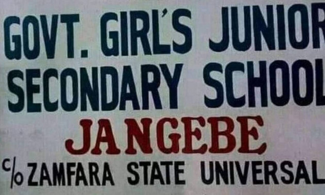 Νιγηρία: Ένοπλοι απήγαγαν 317 μαθήτριες από σχολείο