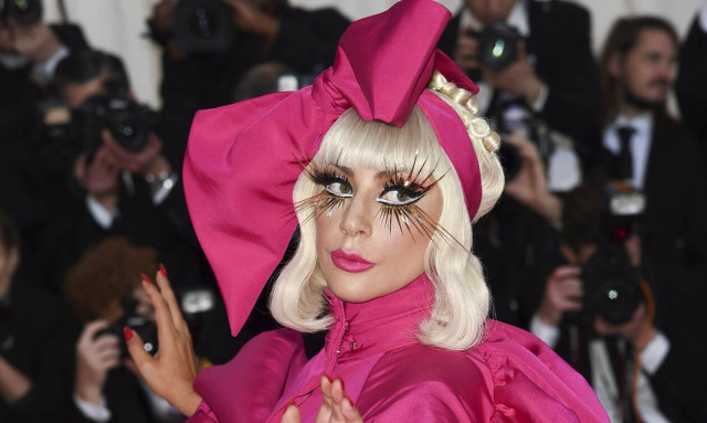 Lady Gaga: Παραδόθηκαν σώα και αβλαβή τα δύο σκυλάκια της διάσημης τραγουδίστριας 