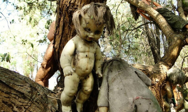 Isla de las Muñecas: Το «στοιχειωμένο» νησί με τις κρεμασμένες κούκλες (pics+vids)