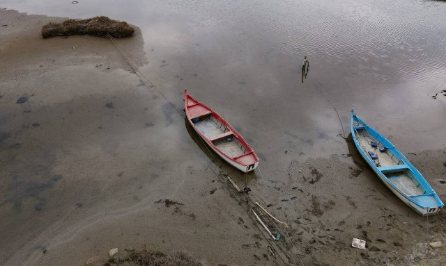 Άμπωτη: Συνδέεται η υποχώρηση της θάλασσας με ενδεχόμενο σεισμό; - Ο Άκης Τσελέντης απαντά