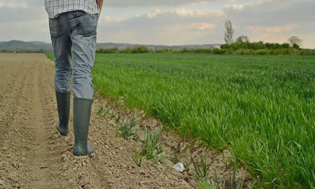 Έλλειψη εργατών γης απογειώνει... το μεροκάματο - Τι λένε οι παραγωγοί