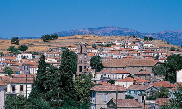 Συναγερμός στη Μυτιλήνη: 30 κρούσματα κορονοϊού σε γηροκομείο, συνεταιρισμό και παιδικό σταθμό