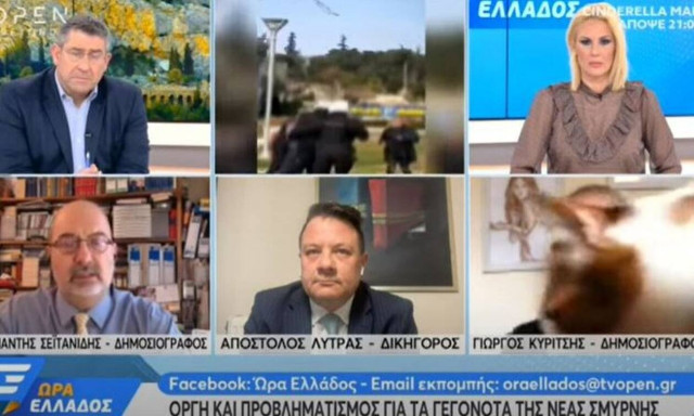 Γιώργος Κυρίτσης: Το απρόοπτο με την γάτα σε συνέντευξη