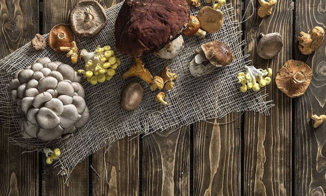 Άκης Πετρετζίκης: Μαγειρεύουμε με μανιτάρια