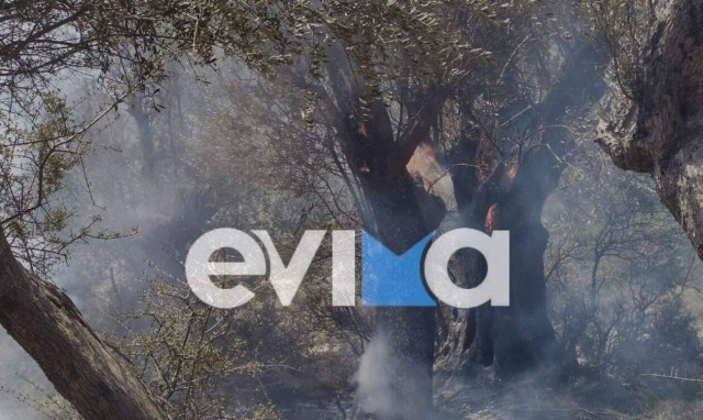 Φωτιά Τώρα στην Εύβοια